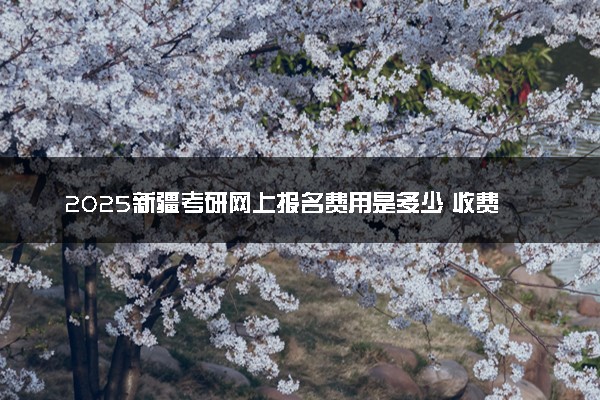 2025新疆考研网上报名费用是多少 收费标准是什么