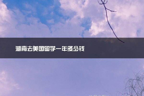 湖南去美国留学一年多少钱
