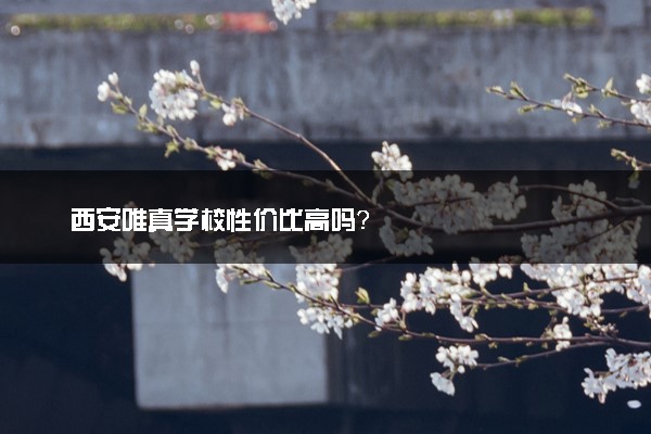 西安唯真学校性价比高吗？