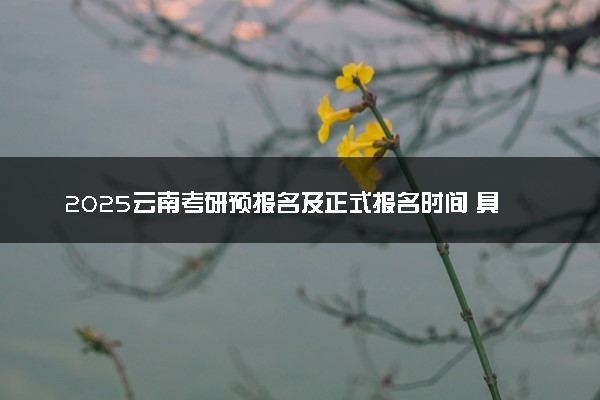 2025云南考研预报名及正式报名时间 具体几月几号