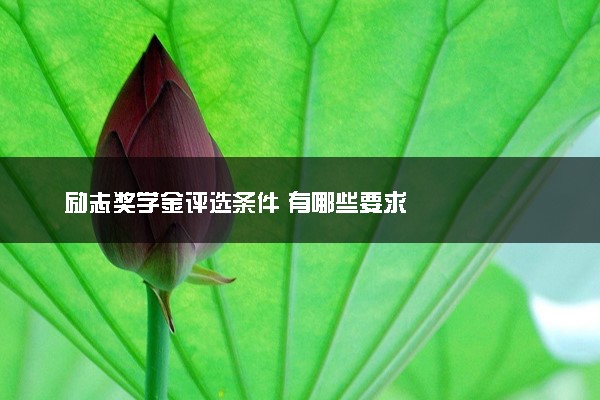 励志奖学金评选条件 有哪些要求