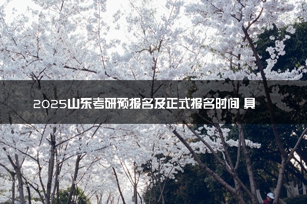 2025山东考研预报名及正式报名时间 具体几月几号