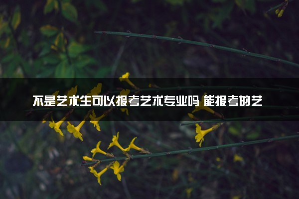 不是艺术生可以报考艺术专业吗 能报考的艺术类专业有哪些
