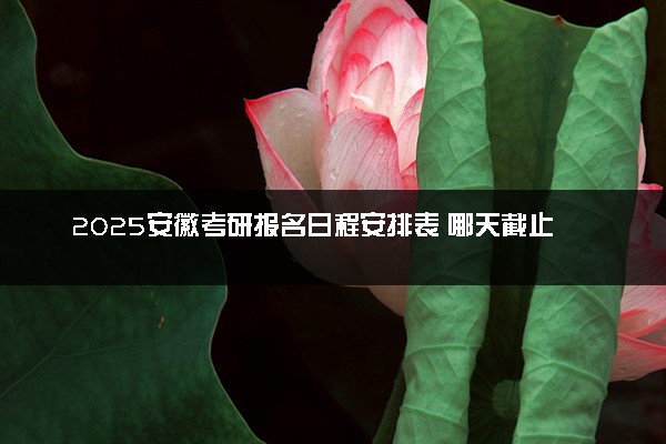 2025安徽考研报名日程安排表 哪天截止报名