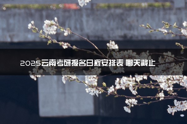 2025云南考研报名日程安排表 哪天截止报名