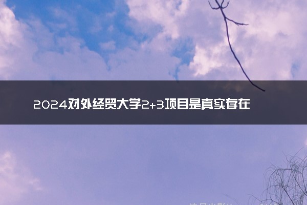2024对外经贸大学2+3项目是真实存在的吗 含金量咋样