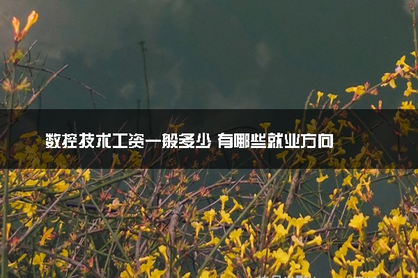 数控技术工资一般多少 有哪些就业方向