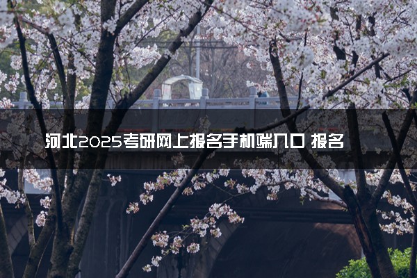 河北2025考研网上报名手机端入口 报名流程是什么