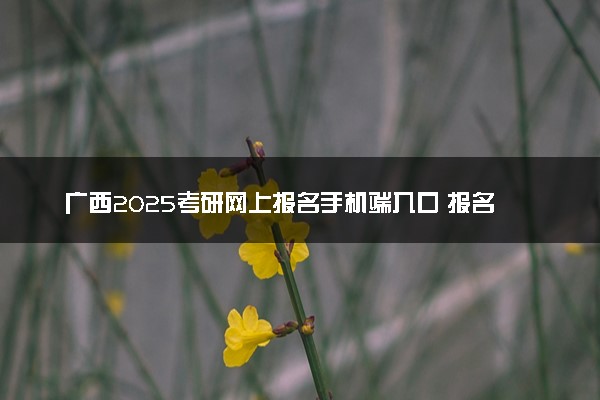 广西2025考研网上报名手机端入口 报名流程是什么