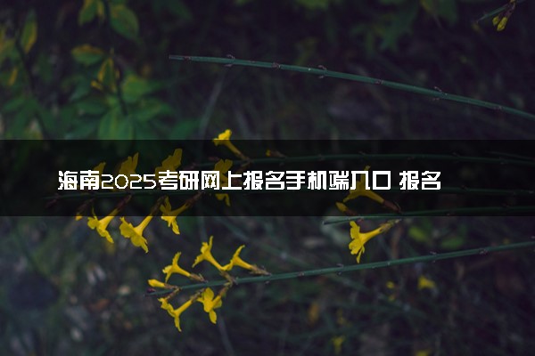 海南2025考研网上报名手机端入口 报名流程是什么