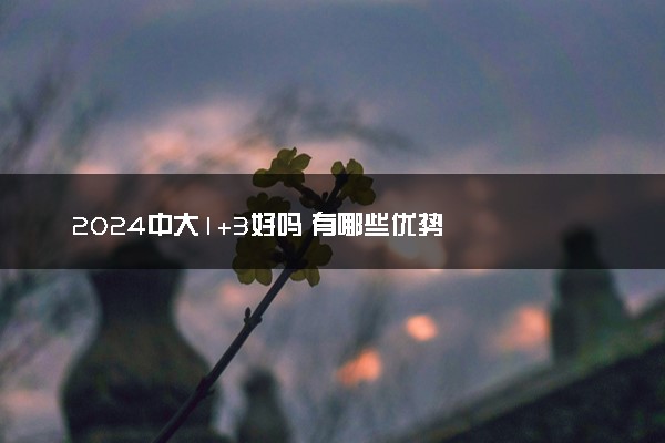 2024中大1+3好吗 有哪些优势