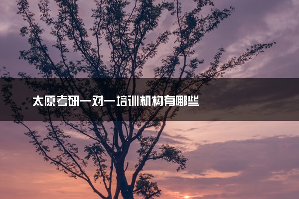 太原考研一对一培训机构有哪些
