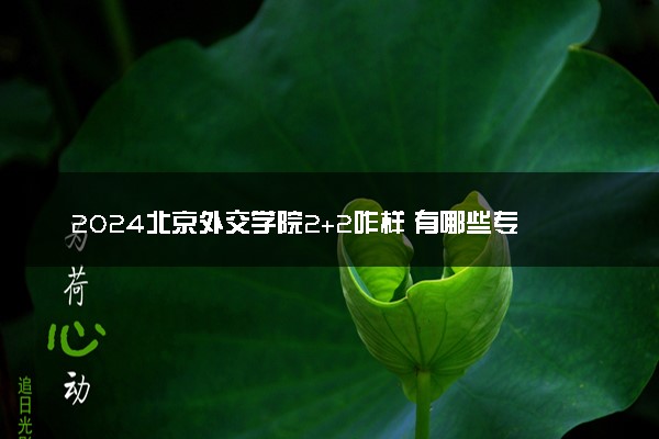 2024北京外交学院2+2咋样 有哪些专业可选