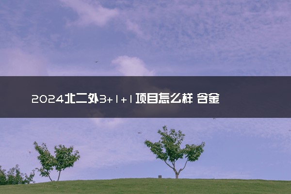 2024北二外3+1+1项目怎么样 含金量高吗