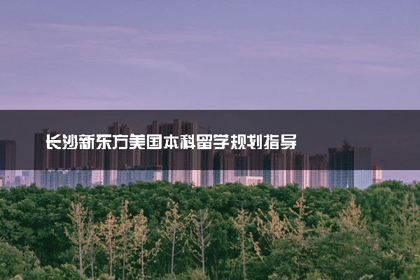 长沙新东方美国本科留学规划指导