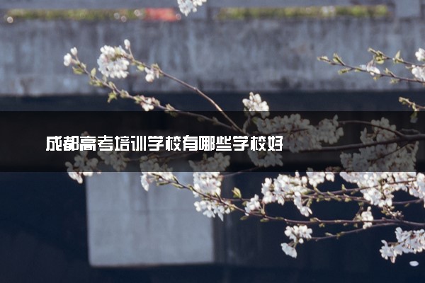 成都高考培训学校有哪些学校好