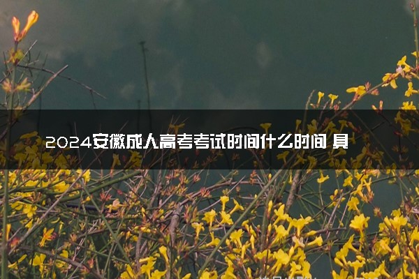 2024安徽成人高考考试时间什么时间 具体几号开考