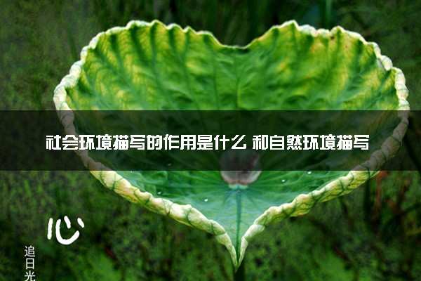 社会环境描写的作用是什么 和自然环境描写的区别有哪些