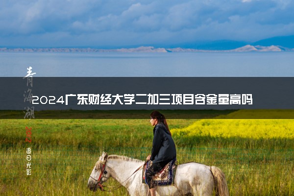 2024广东财经大学二加三项目含金量高吗 是官方办学吗