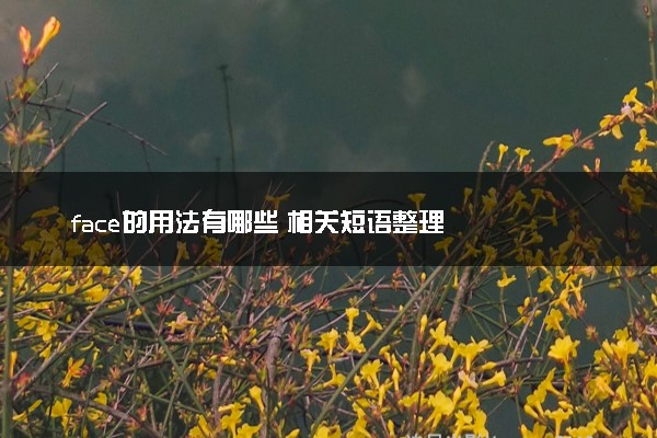 face的用法有哪些 相关短语整理