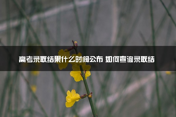 高考录取结果什么时间公布 如何查询录取结果