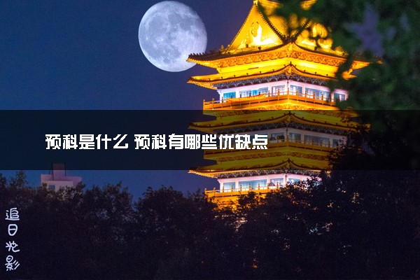 预科是什么 预科有哪些优缺点