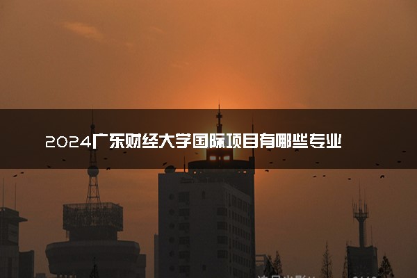 2024广东财经大学国际项目有哪些专业 学费多少