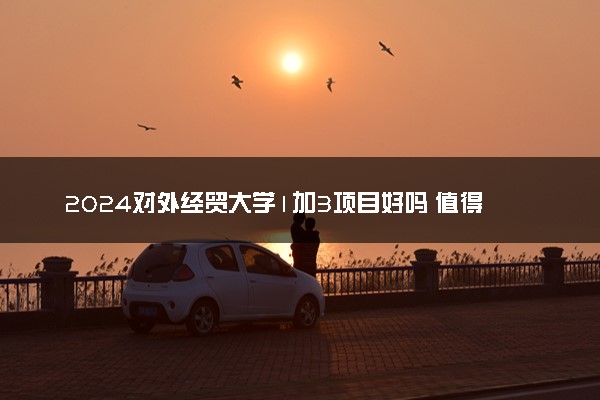 2024对外经贸大学1加3项目好吗 值得读吗