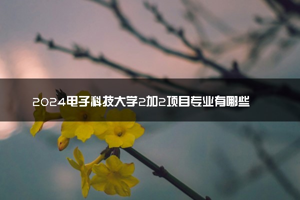 2024电子科技大学2加2项目专业有哪些 海外对接高校名单