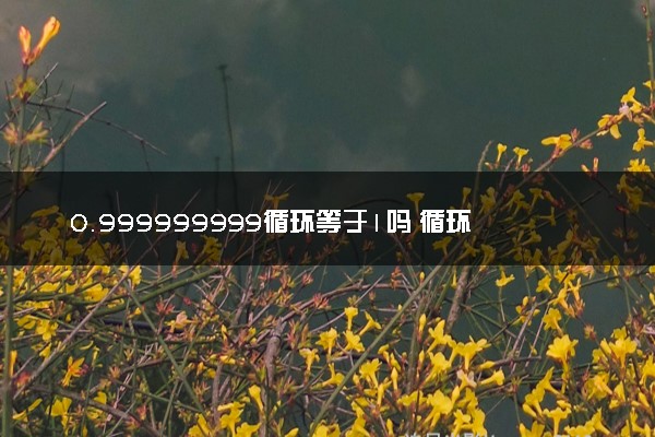0.999999999循环等于1吗 循环是有理数还是无理数