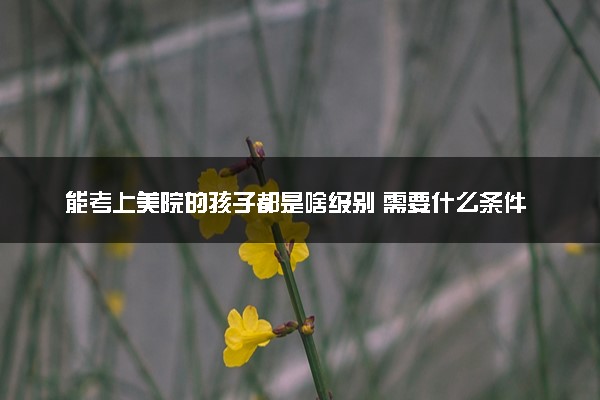 能考上美院的孩子都是啥级别 需要什么条件