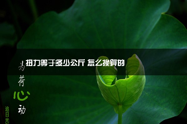 1扭力等于多少公斤 怎么换算的
