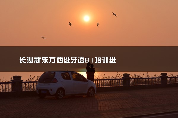 长沙新东方西班牙语B1培训班