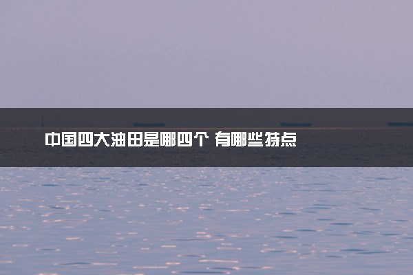 中国四大油田是哪四个 有哪些特点