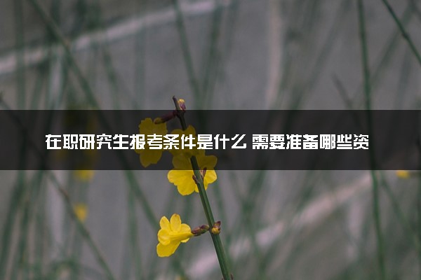 在职研究生报考条件是什么 需要准备哪些资料