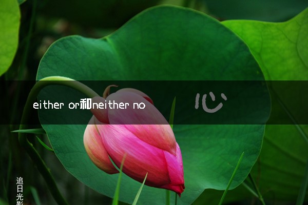 either or和neither nor的区别 二者用法及例句