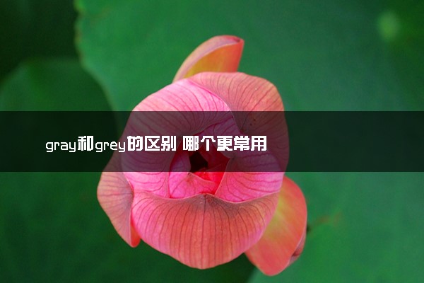 gray和grey的区别 哪个更常用