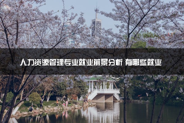 人力资源管理专业就业前景分析 有哪些就业岗位