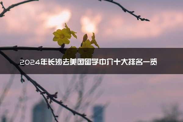 2024年长沙去美国留学中介十大排名一览