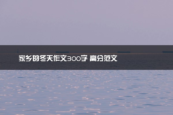 家乡的冬天作文300字 高分范文