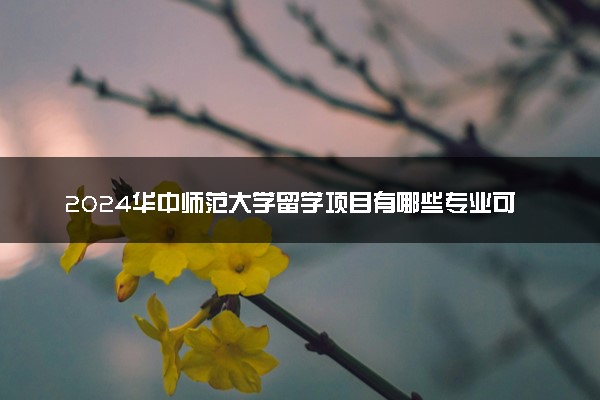 2024华中师范大学留学项目有哪些专业可以选择