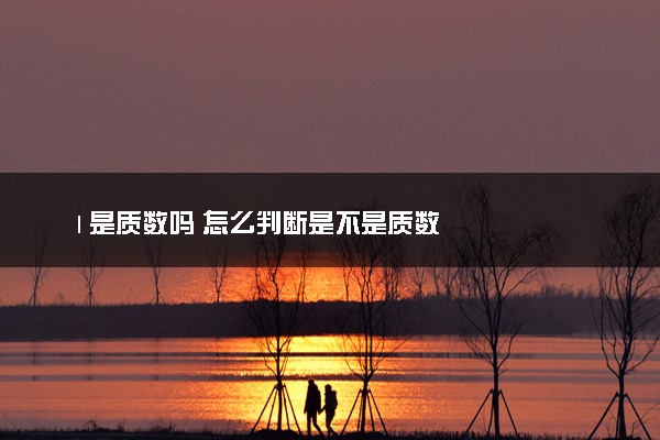 1是质数吗 怎么判断是不是质数