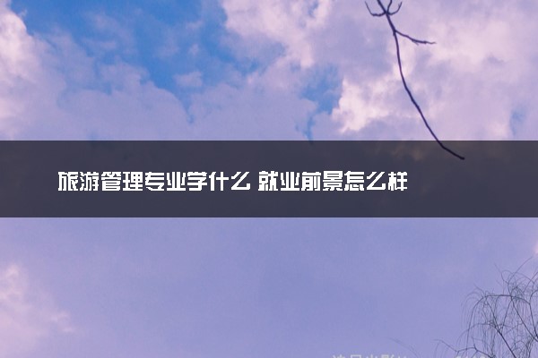 旅游管理专业学什么 就业前景怎么样