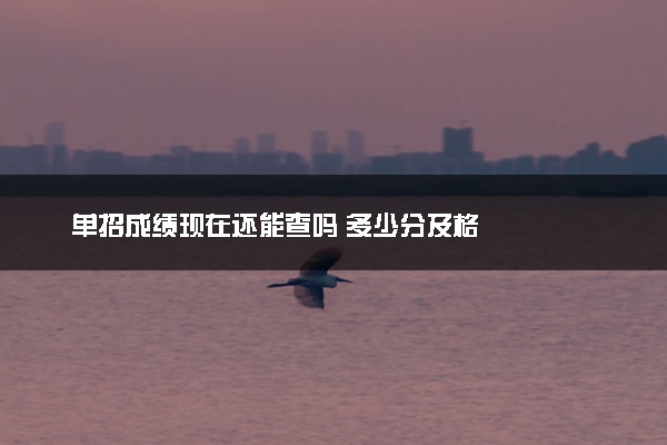 单招成绩现在还能查吗 多少分及格