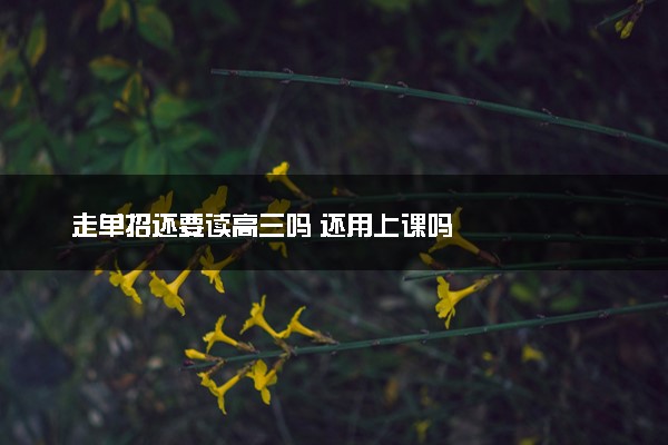 走单招还要读高三吗 还用上课吗