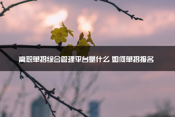 高职单招综合管理平台是什么 如何单招报名