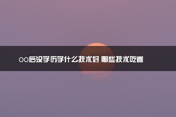 00后没学历学什么技术好 哪些技术吃香