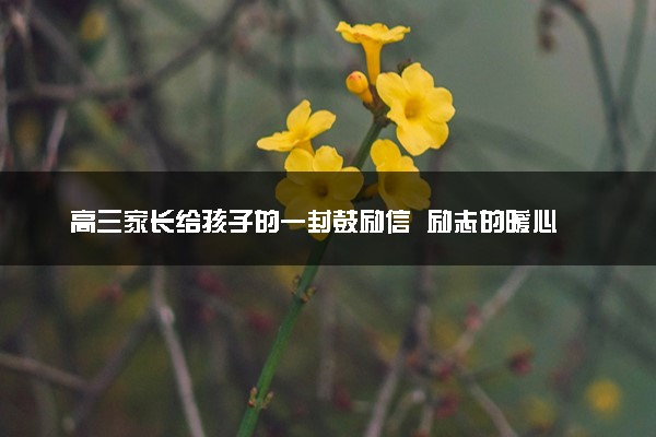 高三家长给孩子的一封鼓励信  励志的暖心话