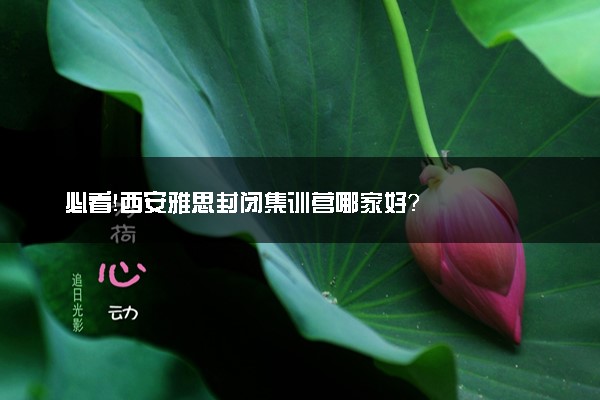 必看！西安雅思封闭集训营哪家好？