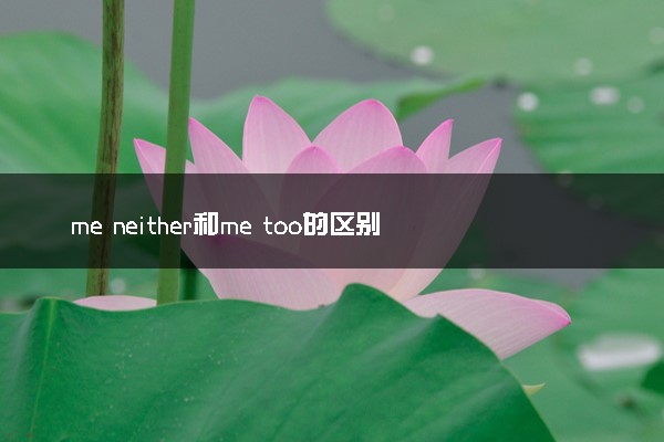 me neither和me too的区别 有哪些区别之处